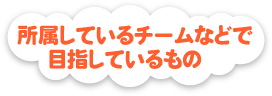 所属しているチームなどで目指しているもの
